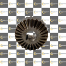 465504 COROA BOCA DE MILHO