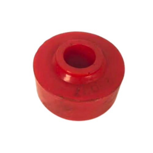 BN313532 BUCHA
