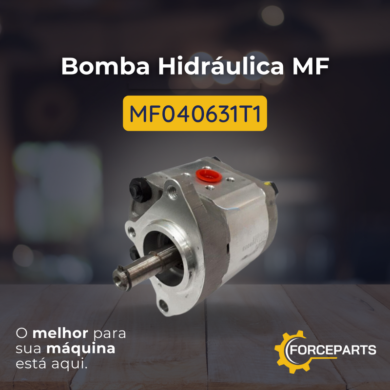 BOMBA HIDRAULICA MF MF040631T1