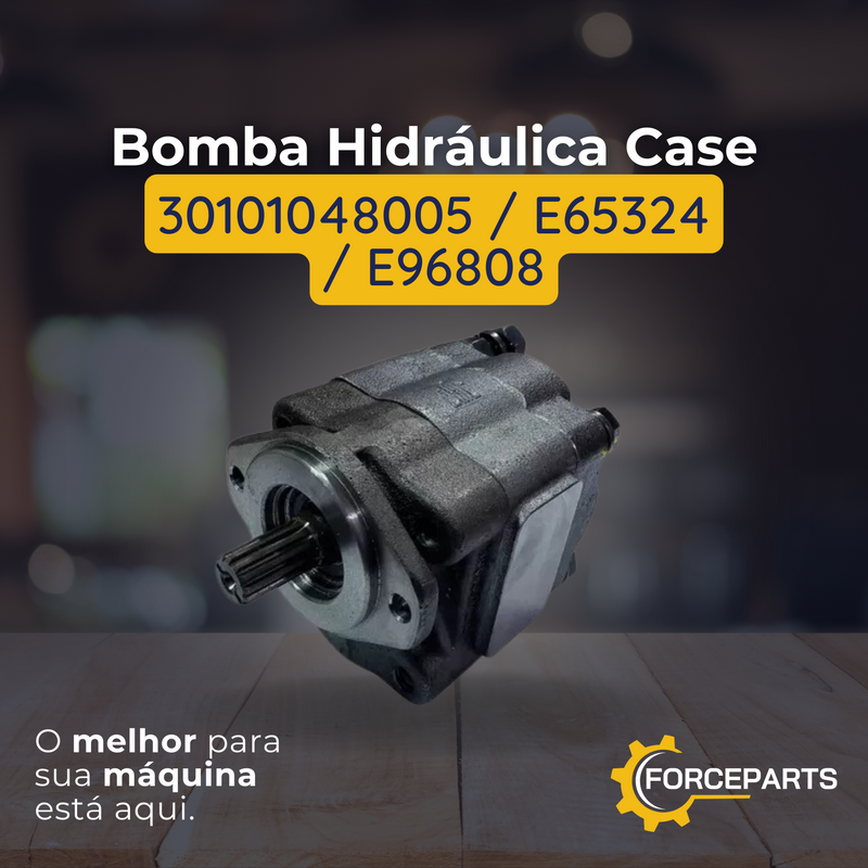 Bomba Hidráulica Case 30101048005  E65324  E96808