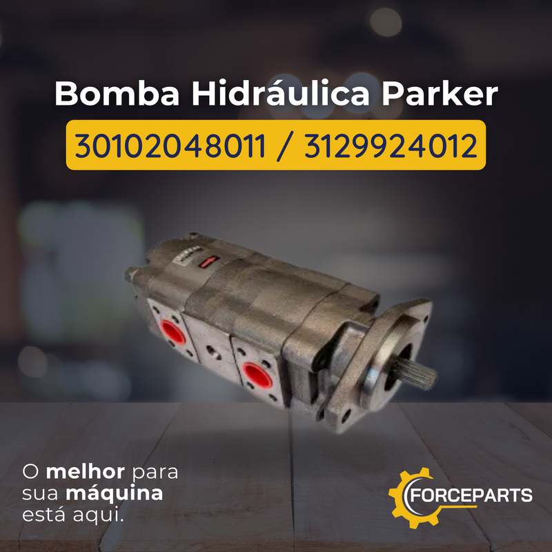 Bomba Hidráulica Parker 30102048011  3129924012