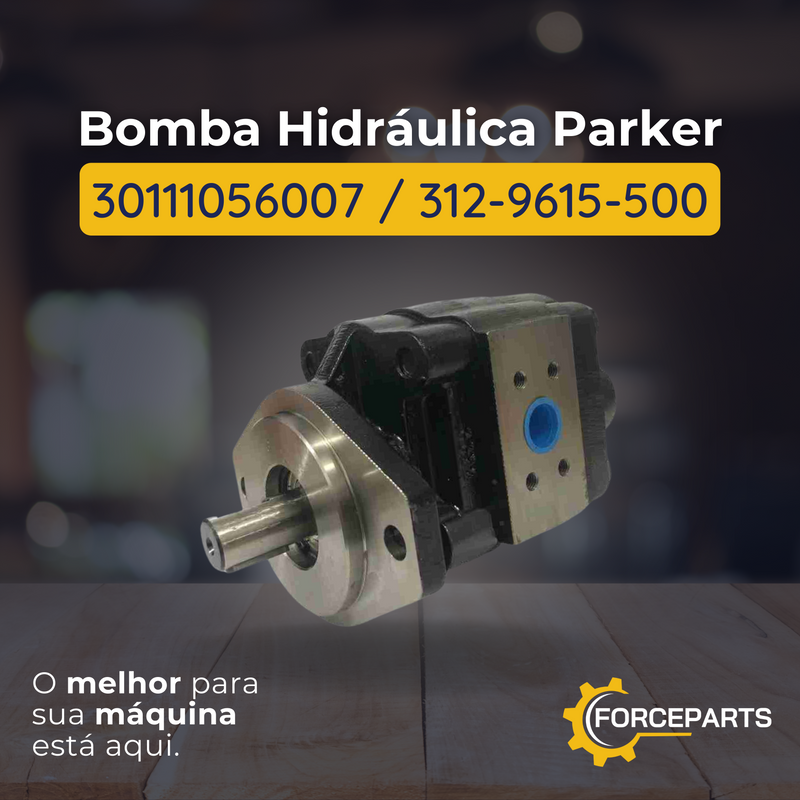Bomba Hidráulica Parker 30111056007  312-9615-500