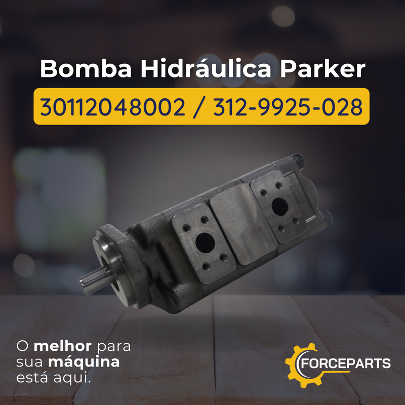 Bomba Hidráulica Parker 30112048002  312-9925-028