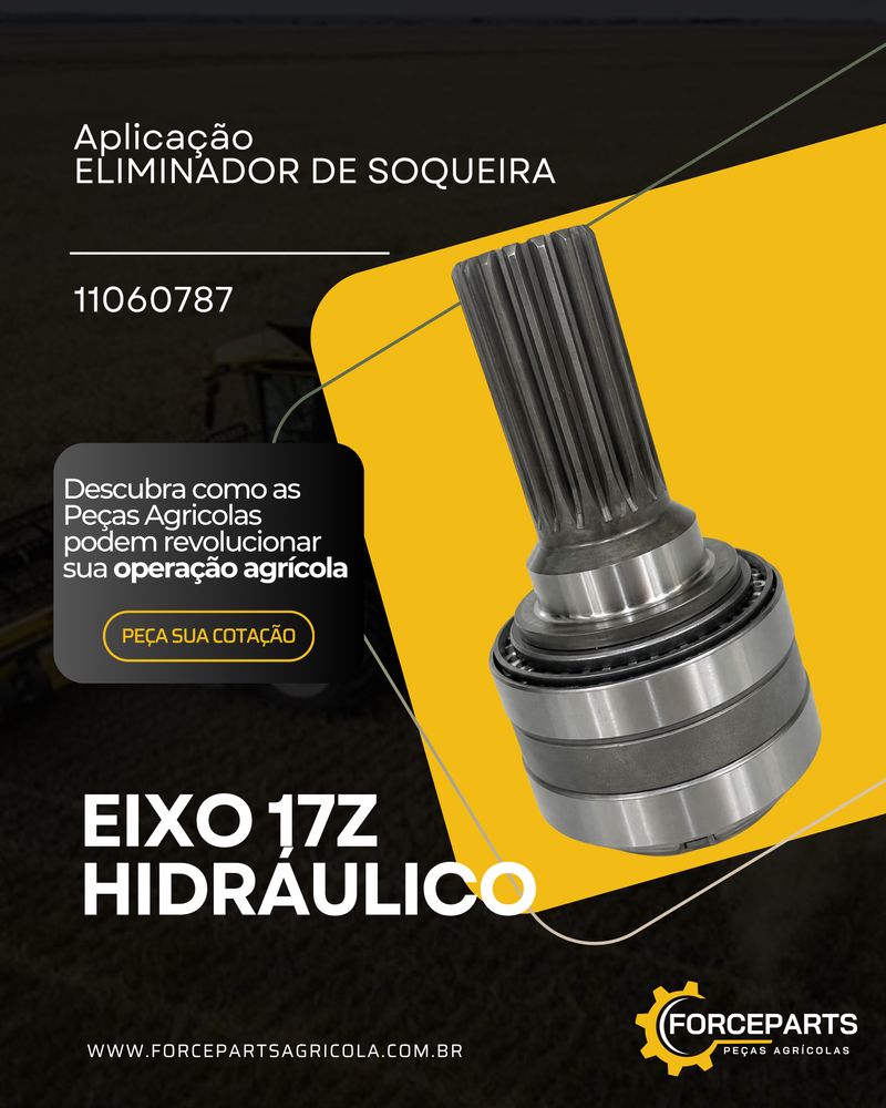 11060787 EIXO MOTOR TMT 17Z