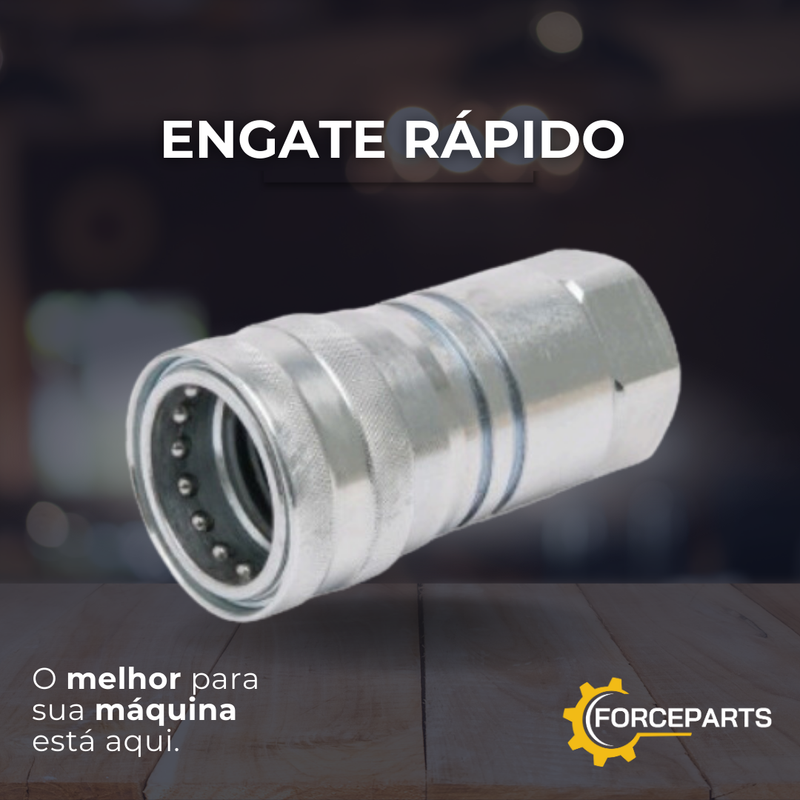Engate rápido fêmea 1 x 1″ BSP 001042/2