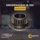 Engrenagem 1A 22z 30013100