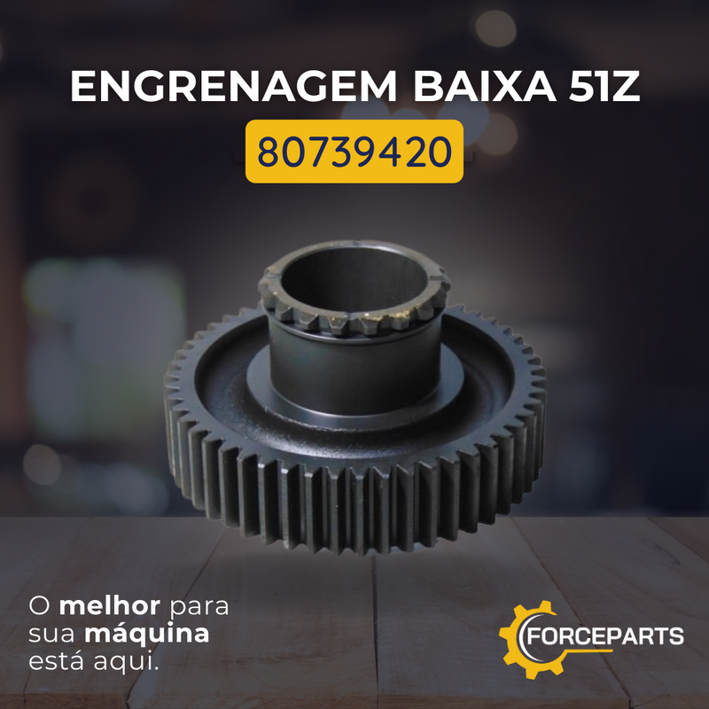 Engrenagem baixa 51z 80739420