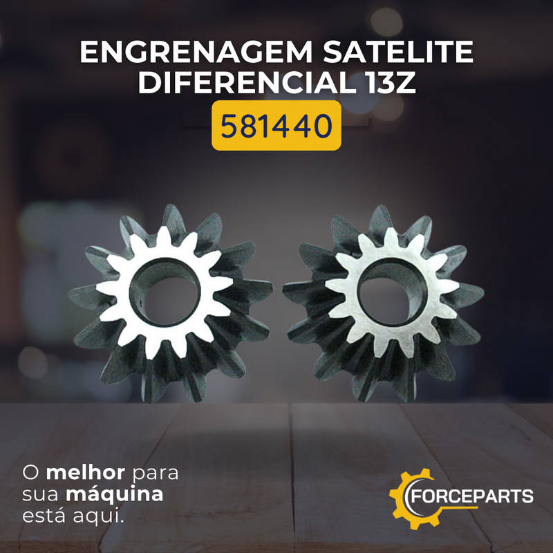 Engrenagem satelite diferencial 13z 581440
