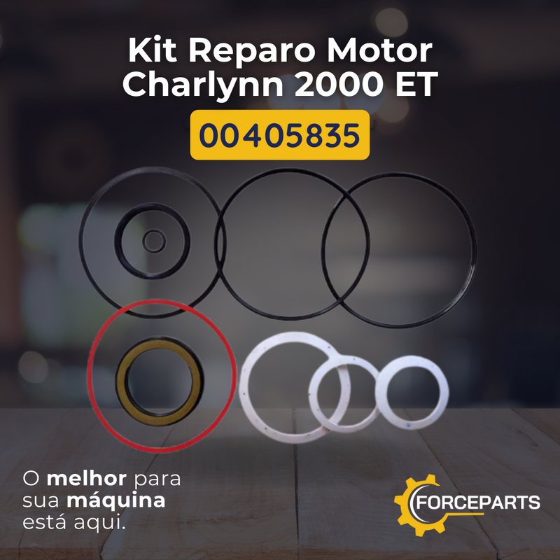 Kit reparo motor charlynn 2000 et 00405835