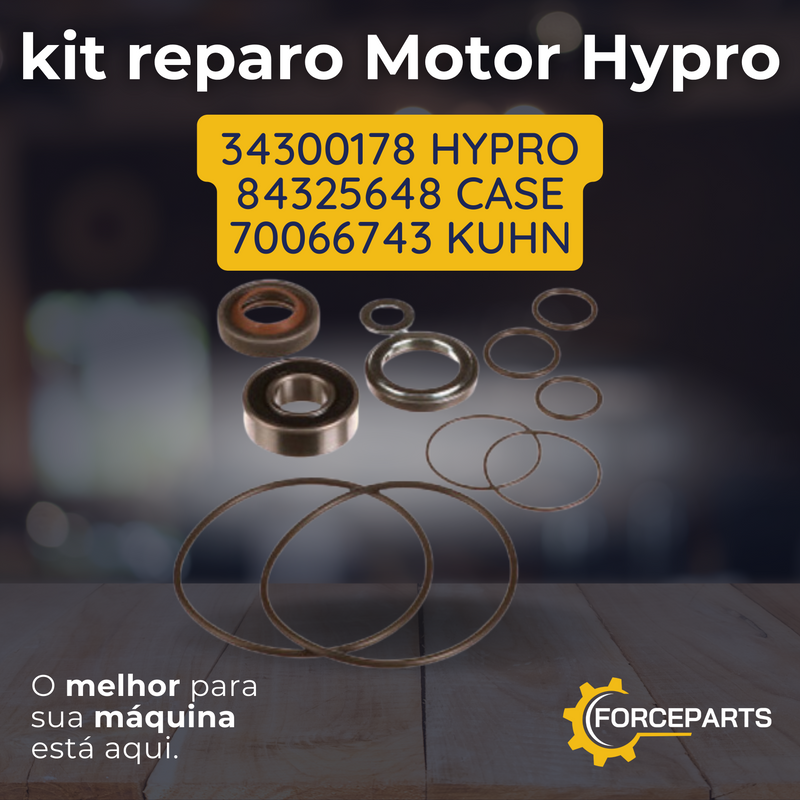 Kit reparo motor hypro 34300178 84325648 70066743