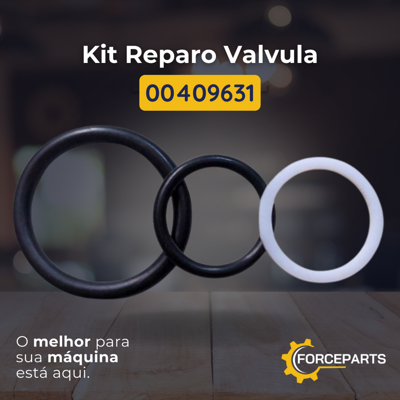 Kit reparo da valvula 00409631