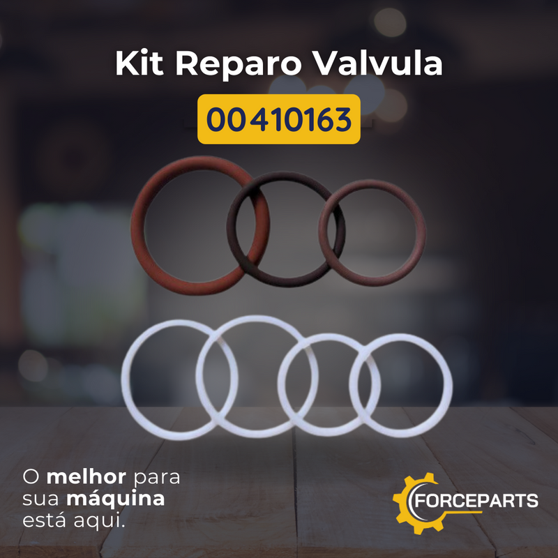 Kit reparo da valvula 00410163
