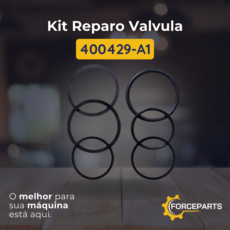 Kit reparo da valvula 400429-A1