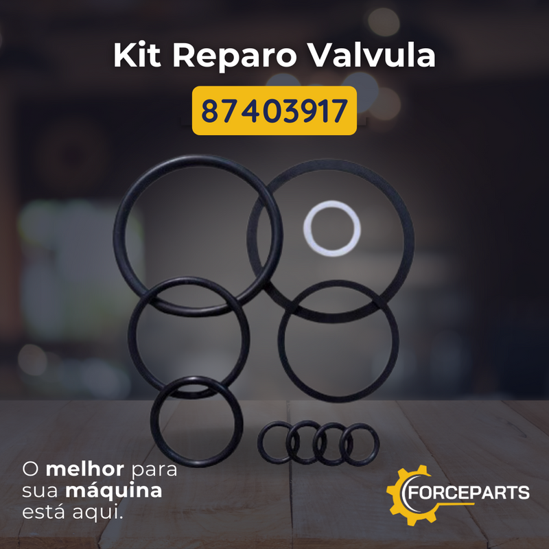 Kit reparo cilindro 87403917