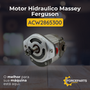 Motor Hidraulico Massey Ferguson ACW2865300