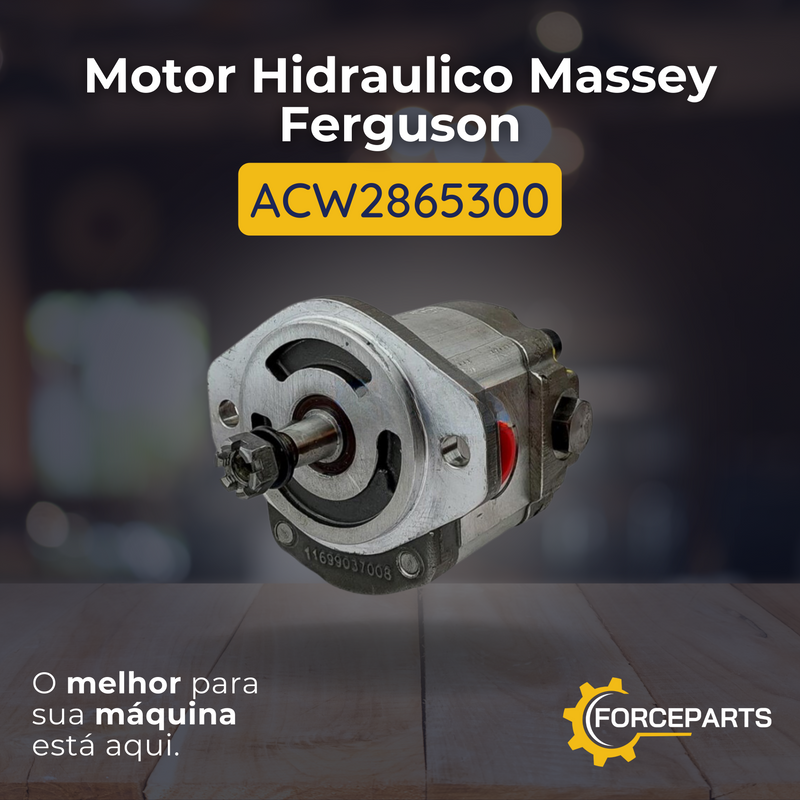 Motor Hidraulico Massey Ferguson ACW2865300