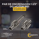 3132915250 PAR DE ENGRENAGEM 1.1/2" DO MOTOR M51