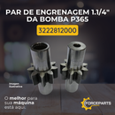 3222812000 PAR DE ENGRENAGEM 1.1/4" DA BOMBA P365