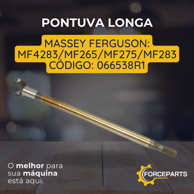 PONTUVA LONGA 066538R1