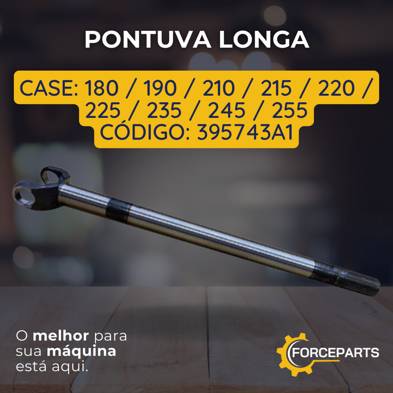 PONTUVA LONGA 395743A1