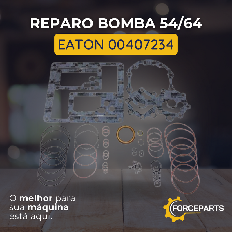 Reparo bomba 54/64 Eaton 00407234