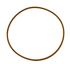 828/00196 ANELO-RING NITRÍLICO 3.53 X 278.99