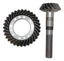 COROA E PINHAO 144460A1